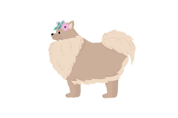 Pomeranian with Tiara in Flowers: A Crafts and Dogs Asset Review